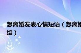 想离婚发表心情短语（想离婚心情说说心情短语相关内容简介介绍）