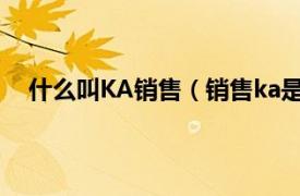 什么叫KA销售（销售ka是什么意思相关内容简介介绍）