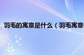 羽毛的寓意是什么（羽毛寓意代表什么意思相关内容简介介绍）