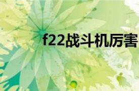 f22战斗机厉害吗（F-22战斗机）