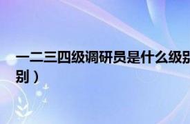 一二三四级调研员是什么级别职称（一二三四级调研员是什么级别）