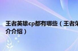 王者英雄cp都有哪些（王者荣耀英雄官方cp有哪几对相关内容简介介绍）