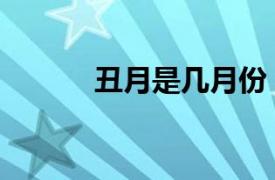 丑月是几月份（子月是几月份）