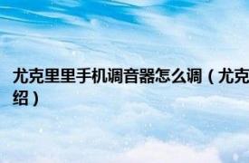 尤克里里手机调音器怎么调（尤克里里怎么调音用手机软件相关内容简介介绍）