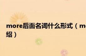 more后面名词什么形式（more后面加什么词性相关内容简介介绍）