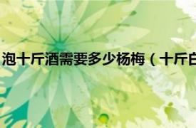 泡十斤酒需要多少杨梅（十斤白酒泡多少杨梅相关内容简介介绍）