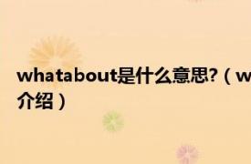 whatabout是什么意思?（whatabout是什么意思相关内容简介介绍）