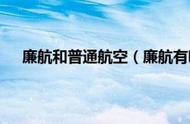 廉航和普通航空（廉航有哪些航空相关内容简介介绍）