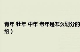 青年 壮年 中年 老年是怎么划分的（青年中年老年怎么划分相关内容简介介绍）