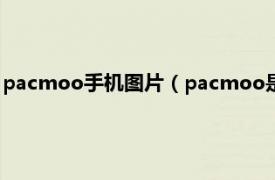 pacmoo手机图片（pacmoo是什么手机型号相关内容简介介绍）