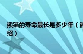 熊猫的寿命最长是多少年（熊猫的寿命是多少年相关内容简介介绍）