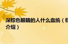 深棕色眼睛的人什么血统（棕色眼睛的人什么血统相关内容简介介绍）