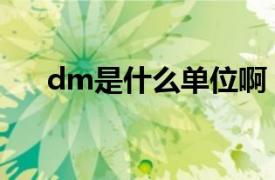 dm是什么单位啊（dm是什么的单位）