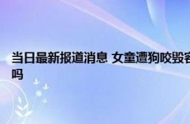 当日最新报道消息 女童遭狗咬毁容当地：犬只已处理 狗主人会被追究责任吗