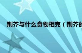 荆芥与什么食物相克（荆芥的吃法有哪些相关内容简介介绍）