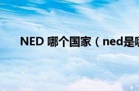 NED 哪个国家（ned是哪个国家相关内容简介介绍）