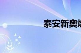 泰安新奥燃气有限公司