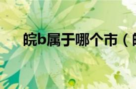 皖b属于哪个市（皖b是安徽哪个城市）