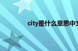 city是什么意思中文翻译是什么意思中文