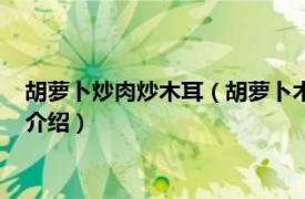 胡萝卜炒肉炒木耳（胡萝卜木耳炒肉最正宗的做法相关内容简介介绍）