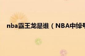 nba霸王龙是谁（NBA中绰号龙王是谁啊相关内容简介介绍）