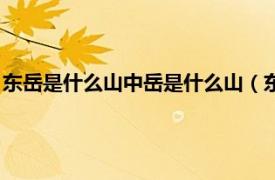 东岳是什么山中岳是什么山（东岳是指哪座山相关内容简介介绍）