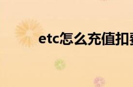 etc怎么充值扣费（etc怎么充值）