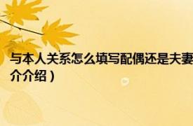 与本人关系怎么填写配偶还是夫妻（与本人关系写夫妻还是配偶相关内容简介介绍）