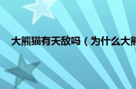 大熊猫有天敌吗（为什么大熊猫没有天敌相关内容简介介绍）