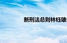 新刑法总则林钰雄多少页（新刑法总则）