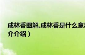 成林香图解,成林香是什么意思?（成林香是什么意思相关内容简介介绍）