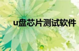 u盘芯片测试软件（U盘芯片检测工具）