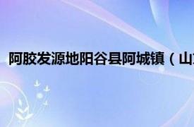 阿胶发源地阳谷县阿城镇（山东阳谷景阳冈阿胶有限责任公司）