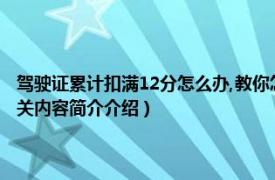 驾驶证累计扣满12分怎么办,教你怎样处理（驾照扣满12分之后怎么处理相关内容简介介绍）