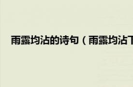 雨露均沾的诗句（雨露均沾下一句怎么接相关内容简介介绍）