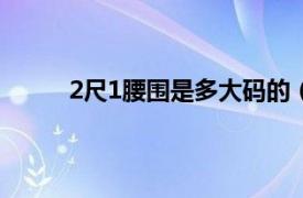 2尺1腰围是多大码的（二尺一的腰围是多少码）