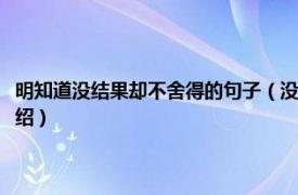 明知道没结果却不舍得的句子（没结果却舍不得的爱情说说相关内容简介介绍）