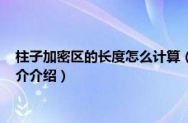 柱子加密区的长度怎么计算（柱子加密区长度怎么算相关内容简介介绍）