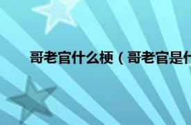 哥老官什么梗（哥老官是什么意思啊相关内容简介介绍）