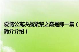 爱情公寓决战紫禁之巅是那一集（爱情公寓决战紫禁之巅是第几集相关内容简介介绍）