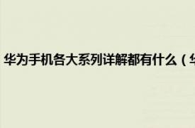 华为手机各大系列详解都有什么（华为手机有什么系列相关内容简介介绍）