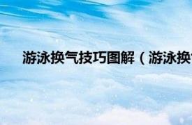 游泳换气技巧图解（游泳换气技巧口诀相关内容简介介绍）