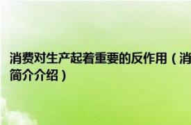 消费对生产起着重要的反作用（消费对生产的反作用对经济的影响相关内容简介介绍）