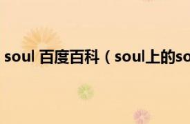 soul 百度百科（soul上的souler指什么相关内容简介介绍）