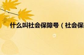 什么叫社会保障号（社会保障号是什么相关内容简介介绍）