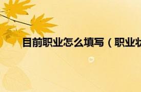 目前职业怎么填写（职业状况怎么填相关内容简介介绍）