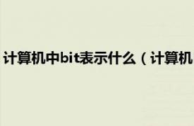 计算机中bit表示什么（计算机bit是什么意思相关内容简介介绍）