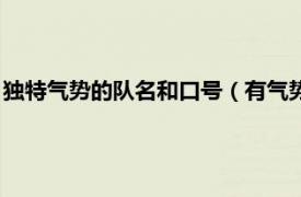 独特气势的队名和口号（有气势的队名和口号相关内容简介介绍）