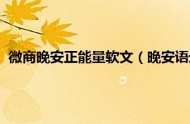 微商晚安正能量软文（晚安语录正能量微商相关内容简介介绍）