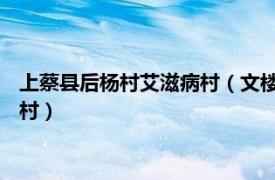 上蔡县后杨村艾滋病村（文楼村 河南省驻马店市上蔡县的艾滋病村）